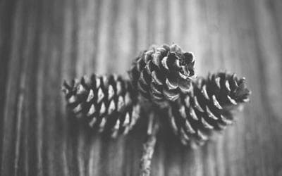 Manpower Outsourcing